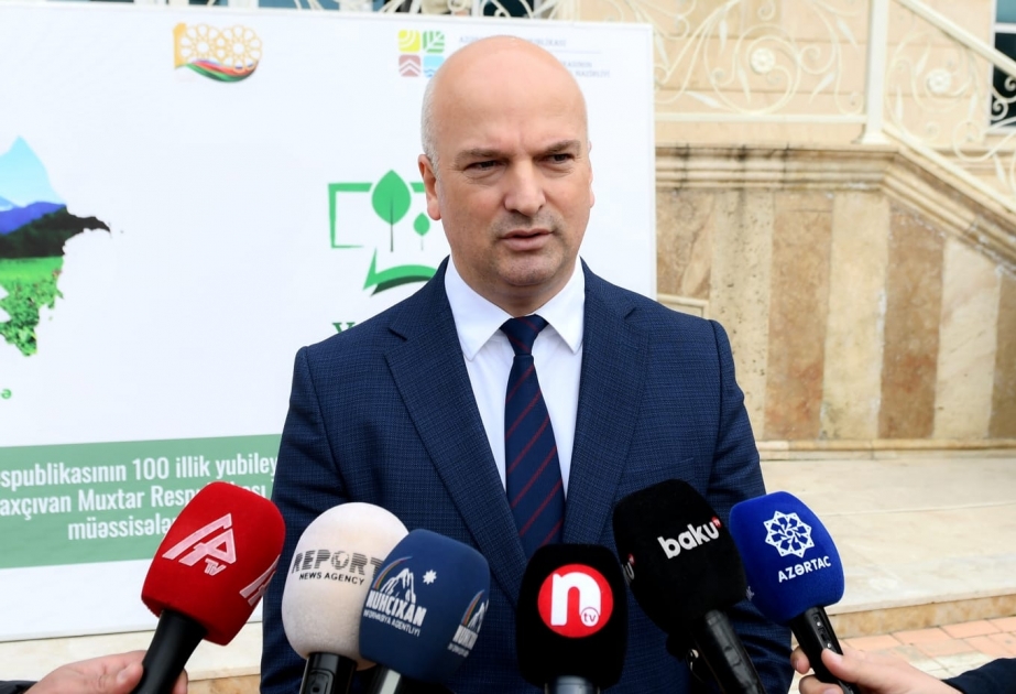 Nazir müavini: “Yaşıl məktəb” layihəsi çərçivəsində Naxçıvanda 10 min tingin əkilməsi planlaşdırılır