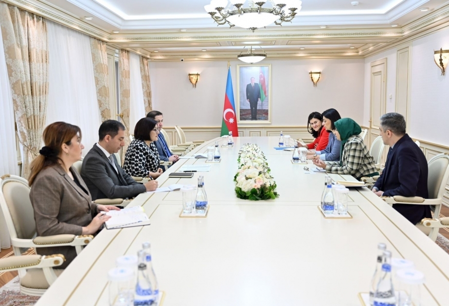 Speaker Gafarova meets with UNICEF Representative in Azerbaijan to discuss child rights