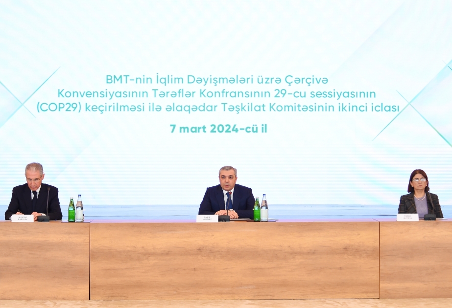Состоялось второе заседание Организационного комитета по СОР29
