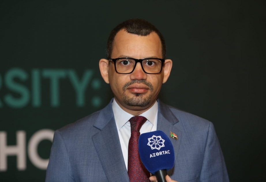 Müvəqqəti işlər vəkili: Bakı konfransı islamofobiyaya qarşı mübarizə üçün mühüm platformaya çevrilib