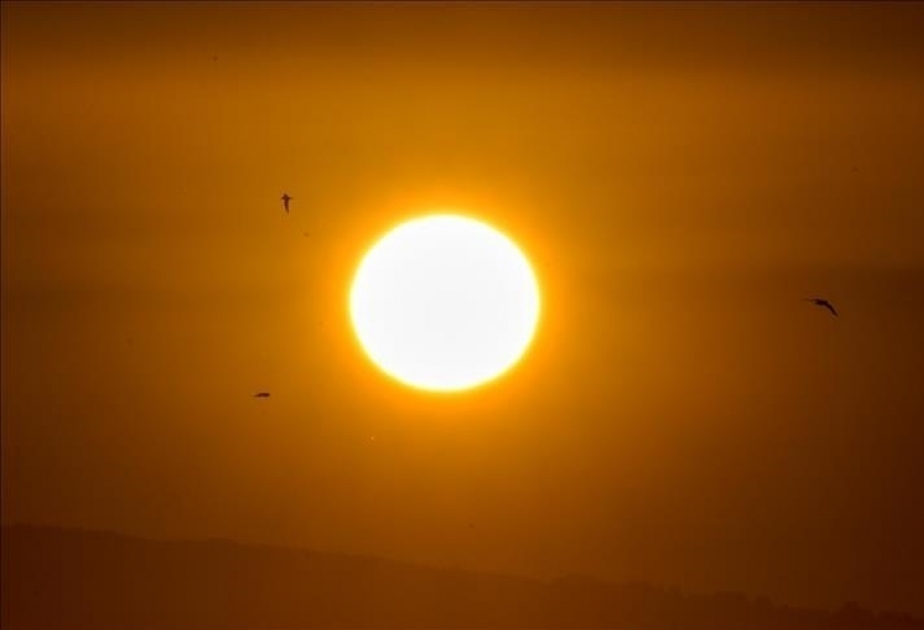 This February was the hottest ever recorded: EU