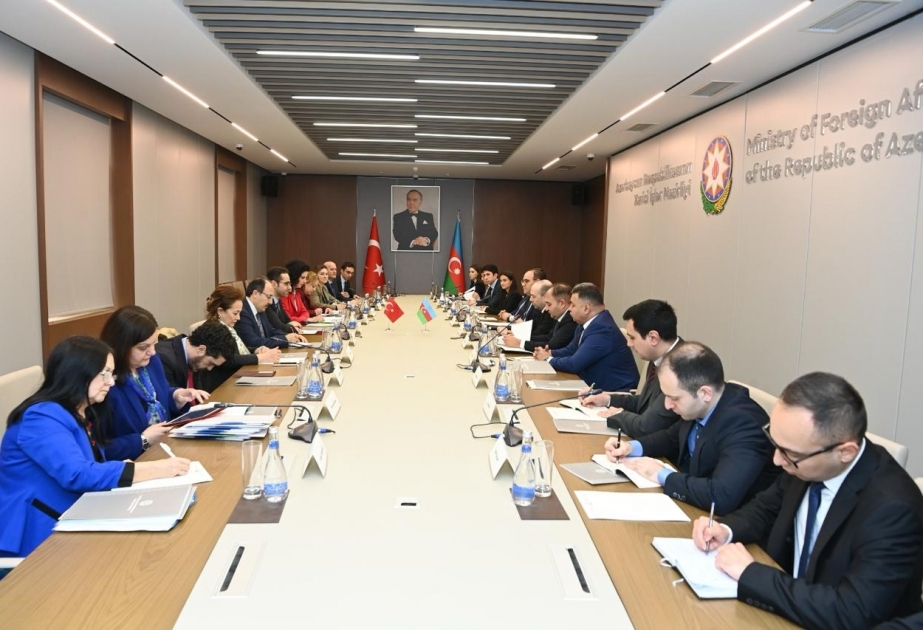 Azərbaycan və Türkiyə Xarici İşlər nazirlikləri arasında növbəti məsləhətləşmələr aparılıb
