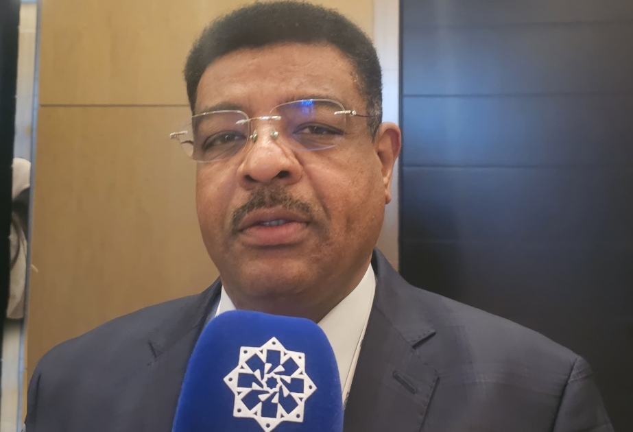 Director del Centro para el Diálogo Civilizacional de ICESCO: "La conferencia de Bakú es uno de los eventos más importantes en la lucha contra la islamofobia"