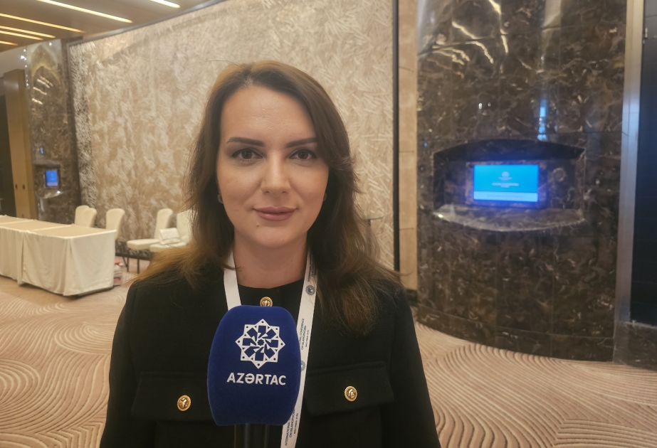 Anastasiya Lavrina: Fransanın Azərbaycana qərəzi Afrikadakı mövqeyini itirməsi ilə əlaqədardır