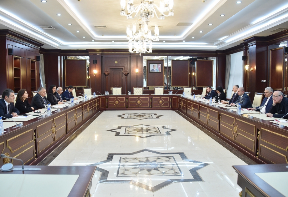 Gürcüstan parlamentinin komitə sədri Milli Məclisdə olub