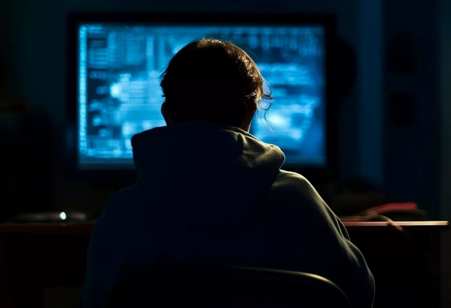 Масштабная хакерская атака на правительственные учреждения Франции