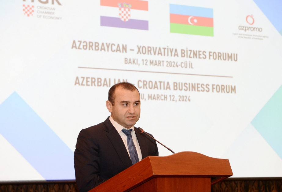 Nazir müavini: Azərbaycanla Xorvatiya arasında münasibətlər yüksələn xətlə inkişaf edir