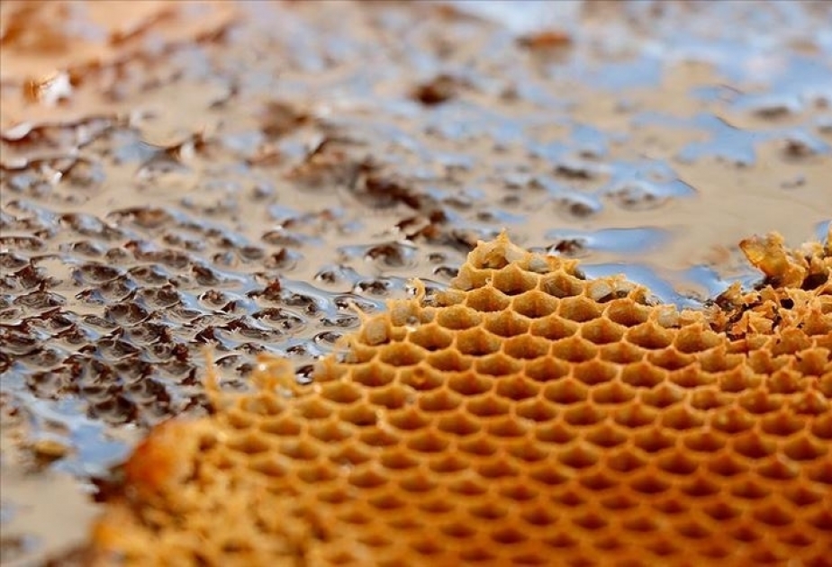 Турция за 2 месяца поставила мёд в 29 стран, в том числе в Азербайджан
