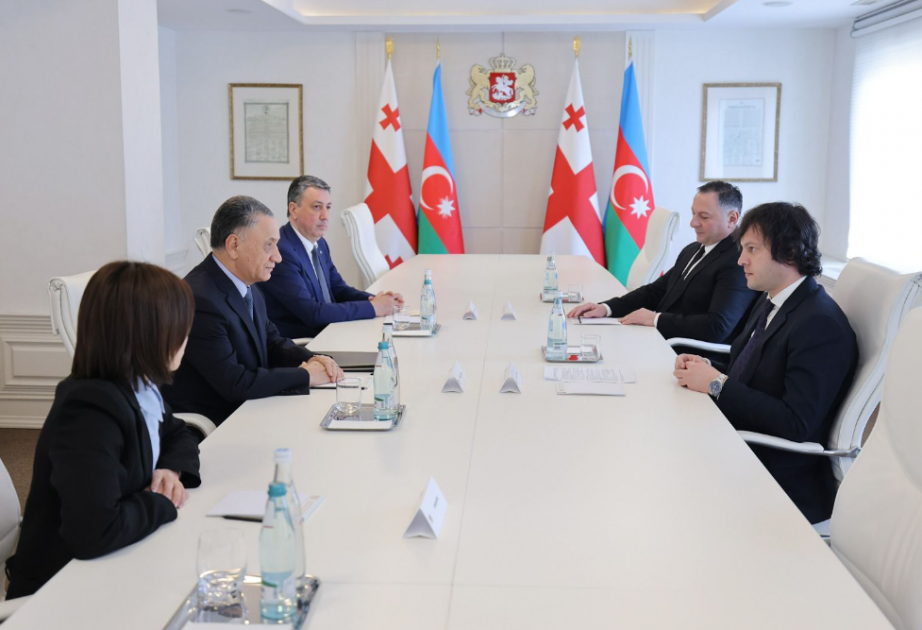 Se llevó a cabo un intercambio de puntos de vista sobre la cooperación entre Georgia y Azerbaiyán en diversos formatos
