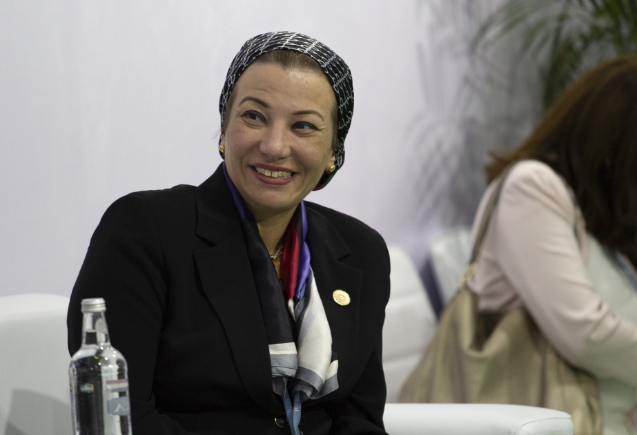 Египетский министр: В рамках подготовки к COP29 мы тесно сотрудничаем с Азербайджаном