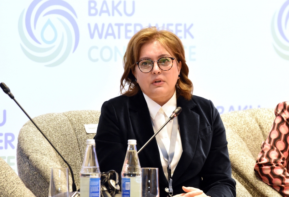 Azerbaijan to address water scarcity challenge with COP29 participating states, says Deputy Ecology Minister