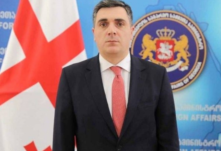 وزير خارجية جورجيا يزور أذربيجان
