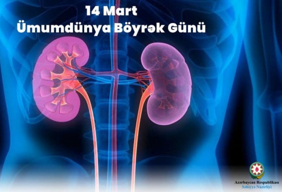 Martın 14-ü Ümumdünya Böyrək Günüdür