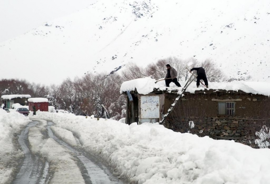 Les chutes de neige et le froid font 60 morts en Afghanistan