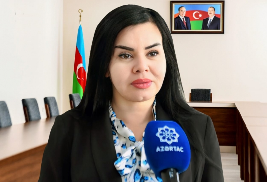 Nazir müavini: “Orqanik Naxçıvan”ın fəaliyyəti təkmilləşdiriləcək, aqroklaster yaradılacaq