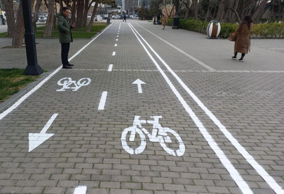 На Приморском бульваре появятся велосипедные дорожки