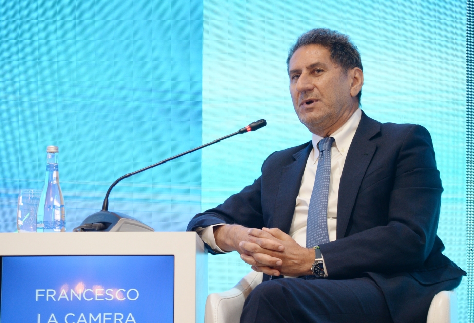 IRENA-nın baş direktoru: COP29 yaşıl enerjiyə keçiddə həlledici rol oynayacaq VİDEO