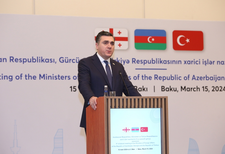 Илья Дарчиашвили: Грузия решительно поддерживает мир и мирное сосуществование на Южном Кавказе ВИДЕО