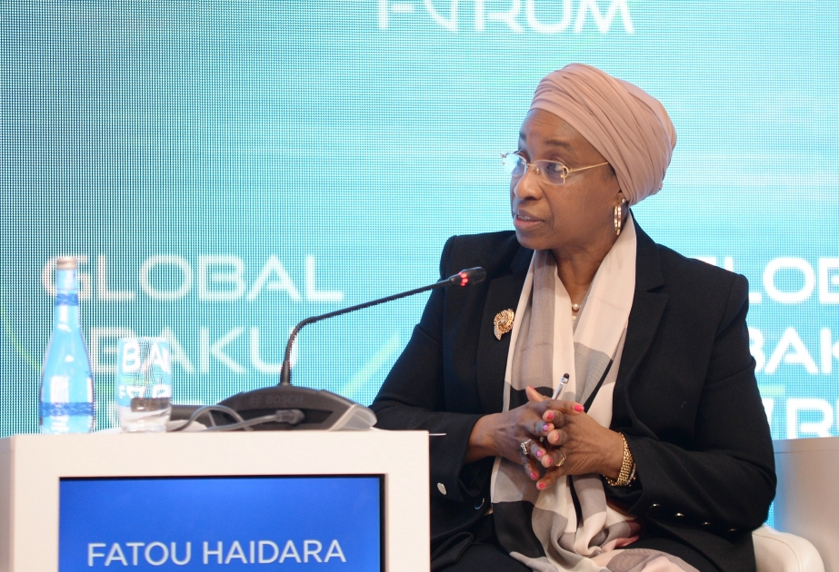 Fatou Haidara: COP29 confronts challenges in addressing complex issues VİDEO