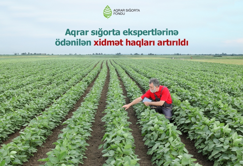 Aqrar sığorta ekspertlərinə ödənilən xidmət haqları artırılıb