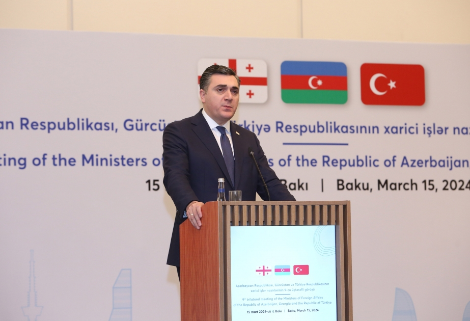 Georgian Foreign Minister: Georgia strongly supports peace and peaceful coexistence in the South Caucasus