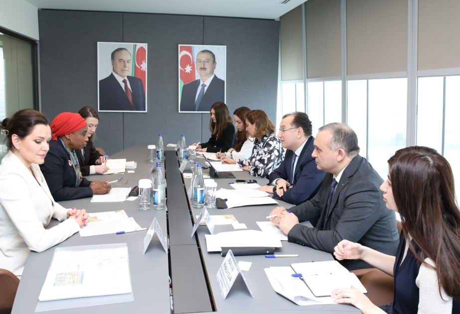 UNIDO eager to support Azerbaijan within the COP29
