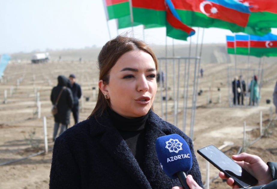 Aygün Əliyeva: Aksiyada 100-ə yaxın qeyri-hökumət təşkilatları iştirak edir