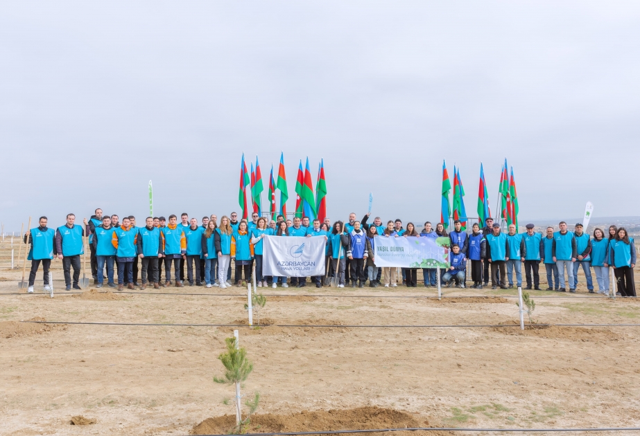 AZAL əməkdaşları “Yaşıl dünya naminə həmrəylik ili” çərçivəsində 600-dən çox ağac əkiblər