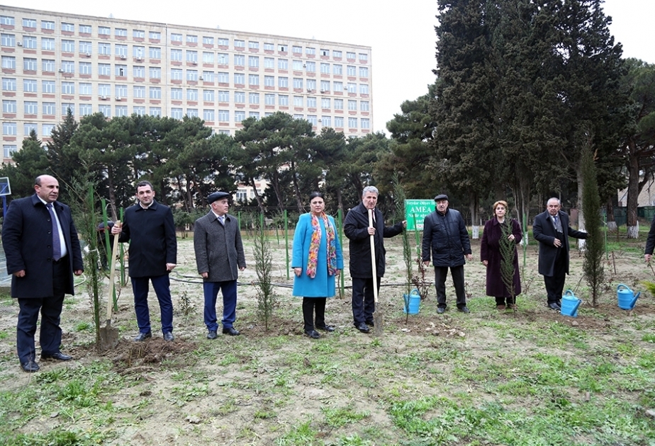 В Парке редких деревьев НАНА прошла очередная акция по посадке деревьев