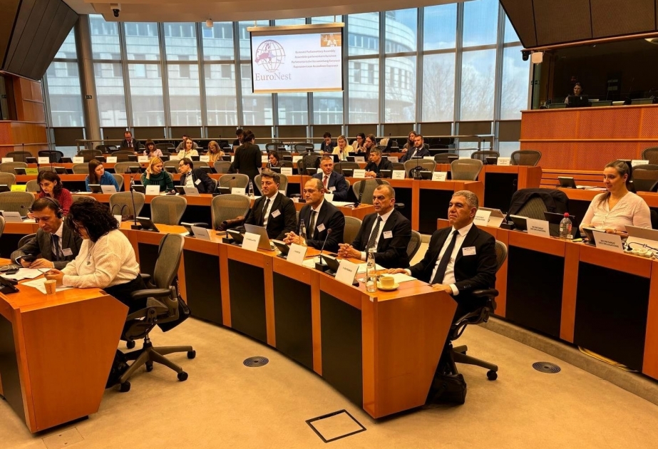 European parliamentarian's biased report against Azerbaijan removed from EuroNest session agenda