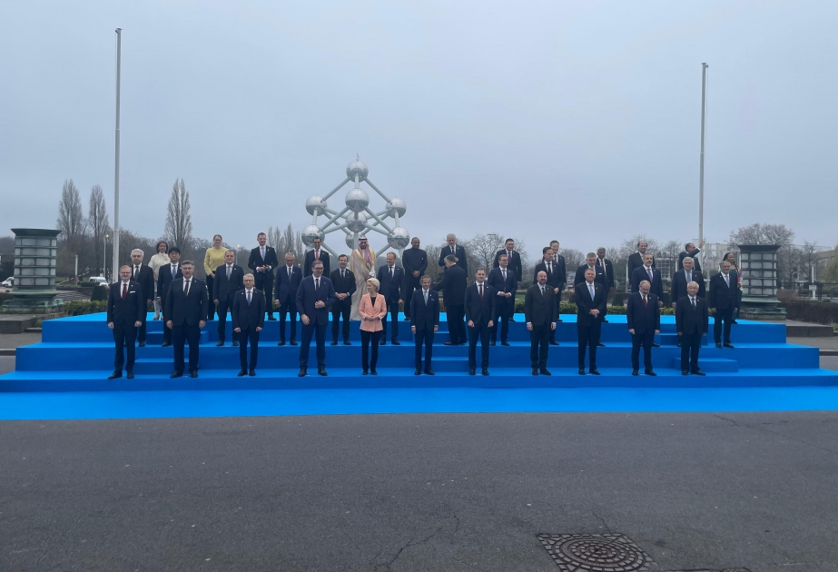 Azerbaijani FM addresses Nuclear Energy Summit