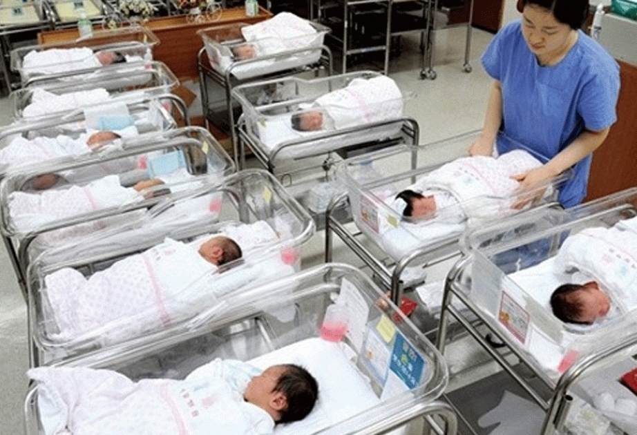 Уровень рождаемости в Южной Корее достиг очередного минимума в январе