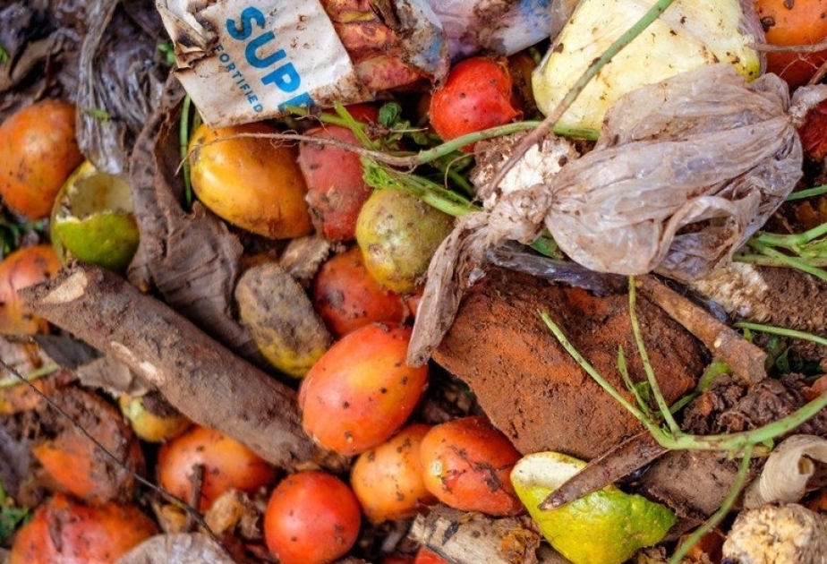 With 783 million people going hungry, a fifth of all food goes to waste, UN says