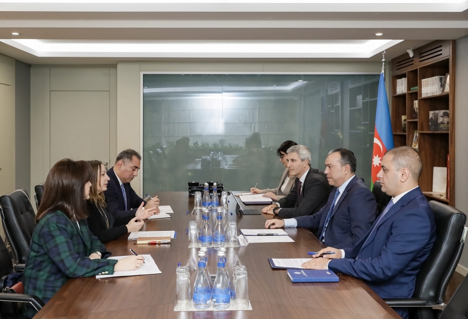 Azerbaijan's Minister of Labor and Social Protection of Population meets with UNDP Resident Representative