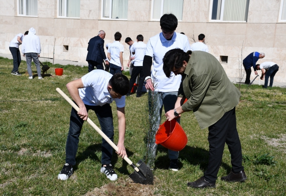 Sumqayıt Kimya Sənaye Parkında ağacəkmə aksiyası keçirilib