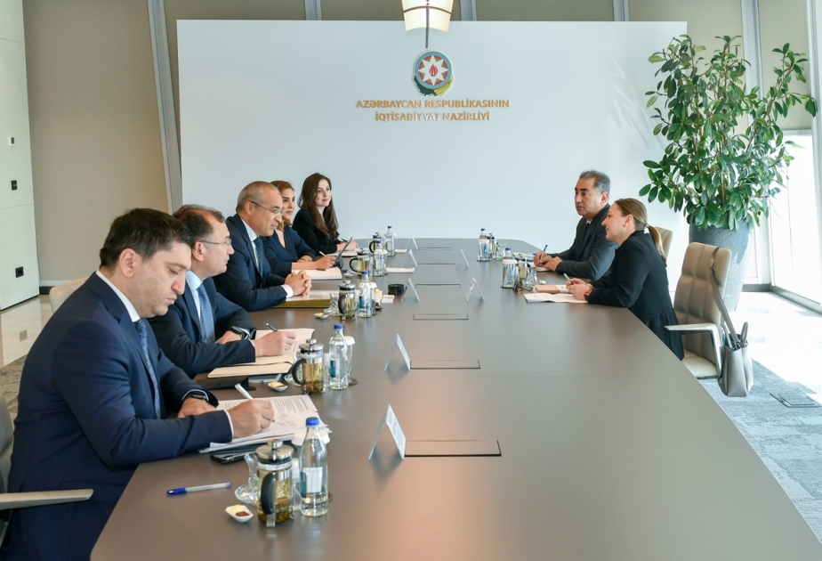 Обсуждено потенциальное партнерство Азербайджана с Программой развития ООН в рамках COP29