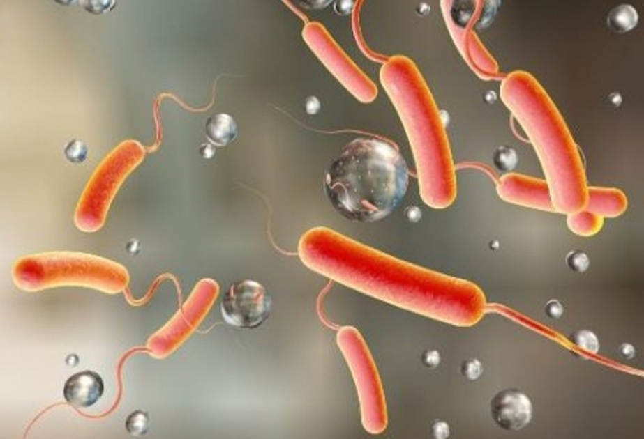 Somalia receives 1.4 mln doses of oral cholera vaccine as cases surge