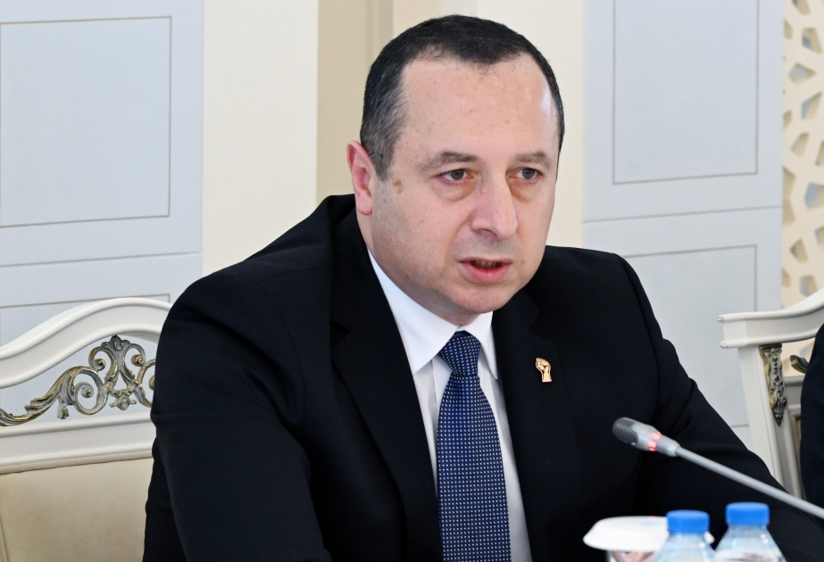 Çingiz Əsgərov: Hakimlərin sayının artırılması məhkəmə sistemində icraatın səmərəliliyinə kömək edəcək
