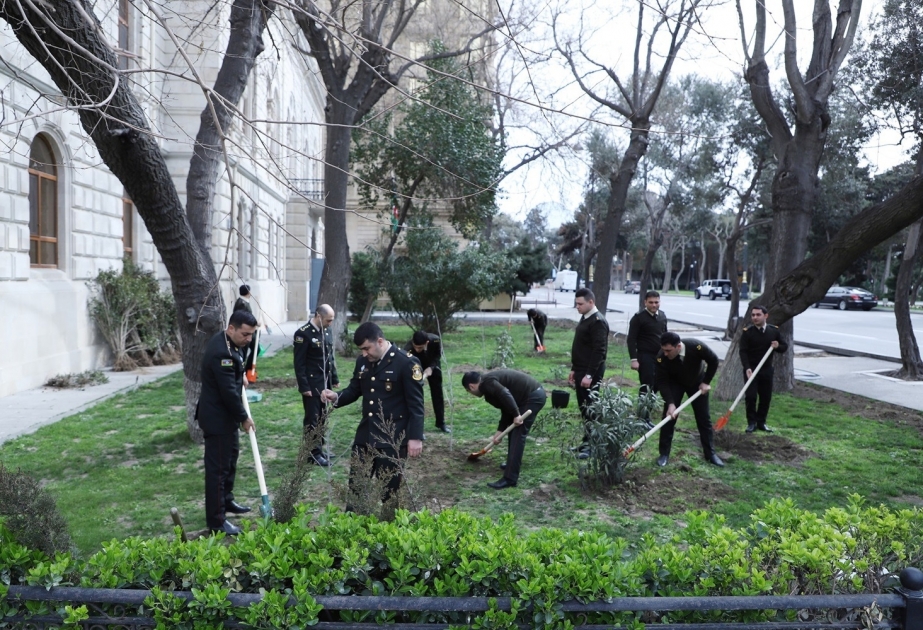 Dövlət Xidməti növbəti dəfə ağacəkmə aksiyası keçirib