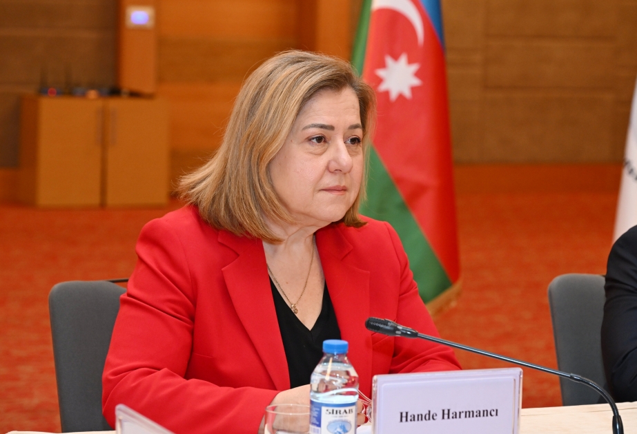 Харманджи: Важнейшим вопросом для Азербайджана является обеспечение доступности психологических услуг