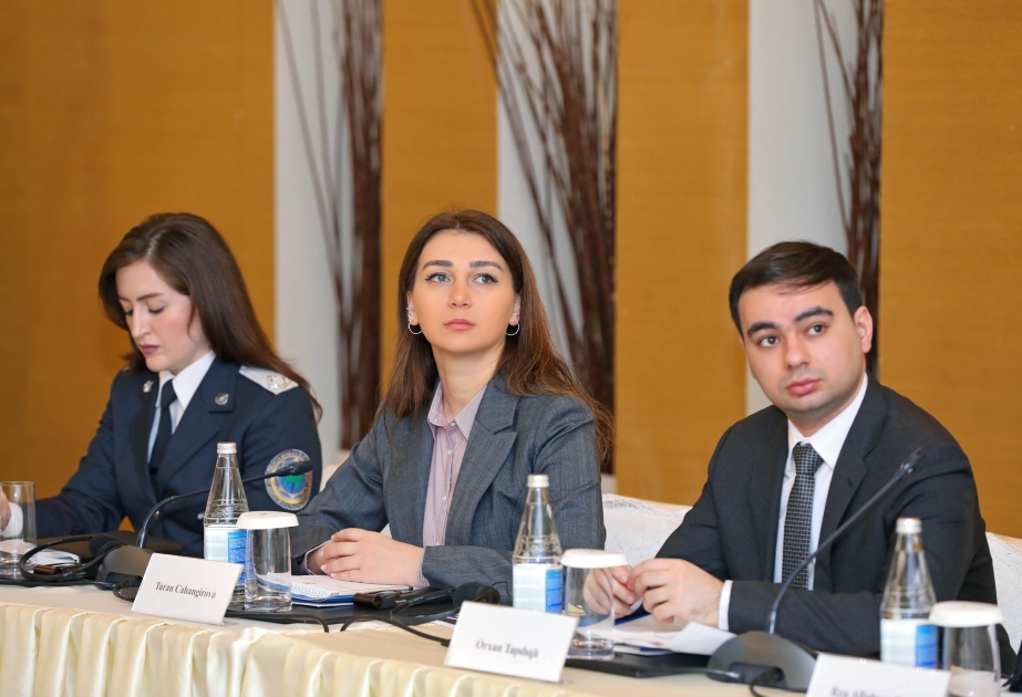 “Vətəndaşsızlıq məsələləri üzrə İşçi Qrup”un növbəti iclası keçirilib