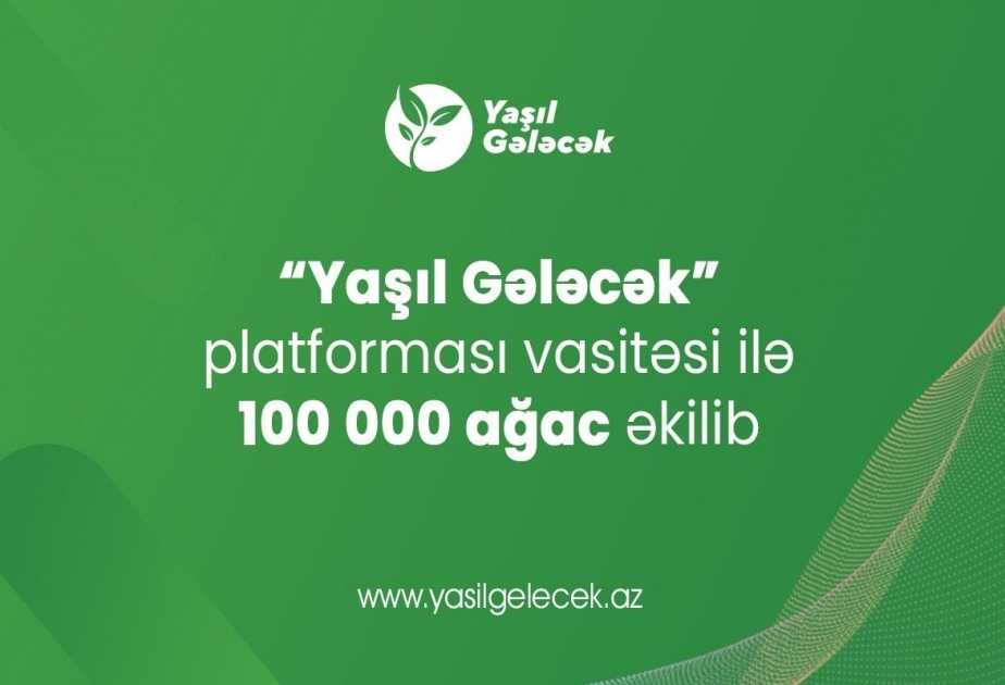 В рамках платформы «Зеленое будущее» посажено 100 тысяч деревьев