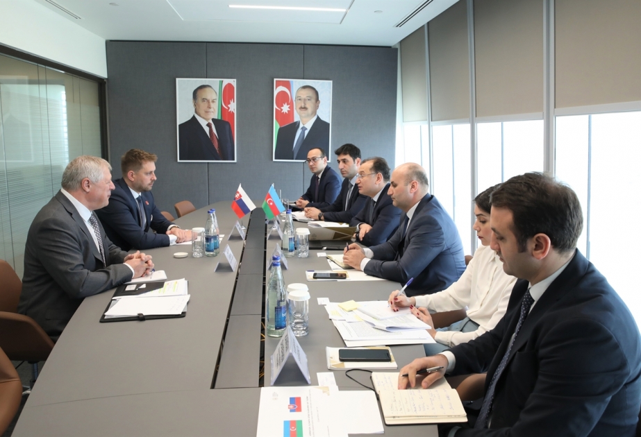 Slovakiya şirkətlərinin işğaldan azad edilmiş ərazilərdə fəaliyyətinə dair müzakirələr aparılıb