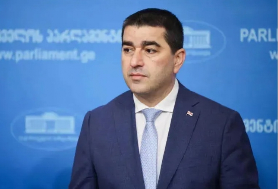 Şalva Papuaşvili: Xarici donorlar Gürcüstandakı bəzi radikal qüvvələri gizli yolla maliyyələşdirirlər