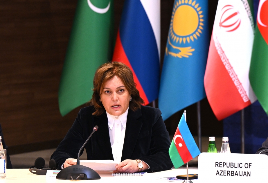 Azərbaycan Xəzər dənizinin ətraf mühitinə mənfi təsirləri minimuma endirmək üçün gördüyü tədbirləri açıqlayıb