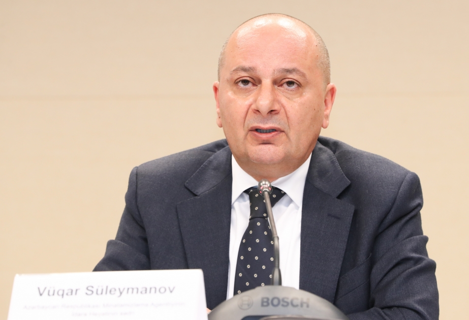 Vüqar Süleymanov: Mina təmizləmə fəaliyyəti bir sıra amillərdən asılıdır