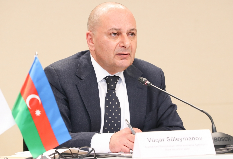 Глава ANAMA: Общее число жертв мин в Азербайджане составляет 3429 человек