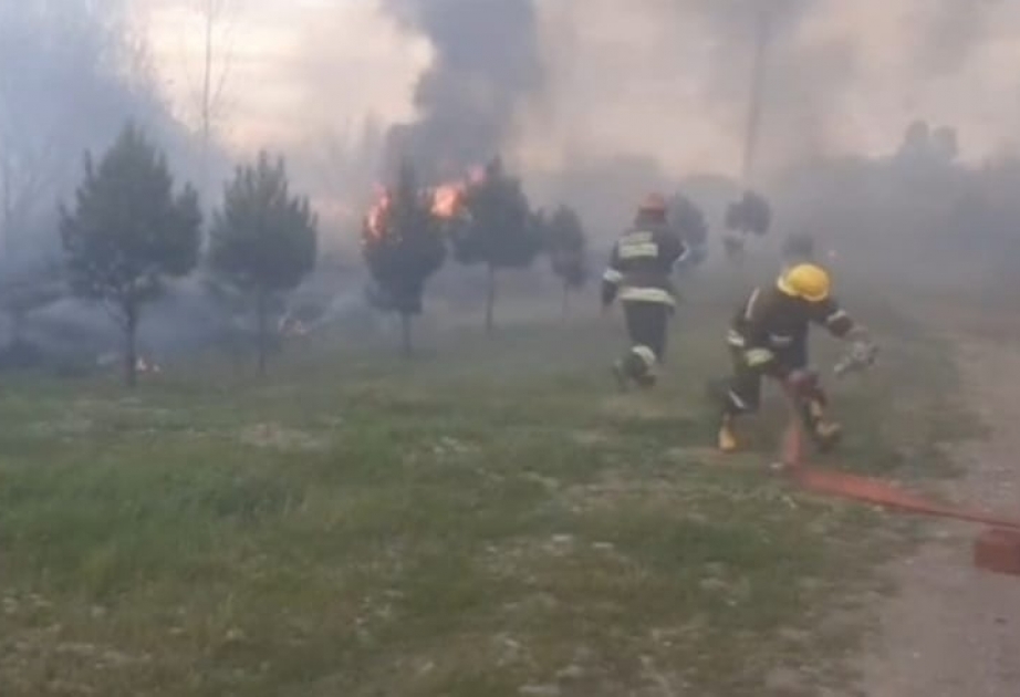 Külək Yevlaxda bir neçə yerdə yanğına səbəb olub