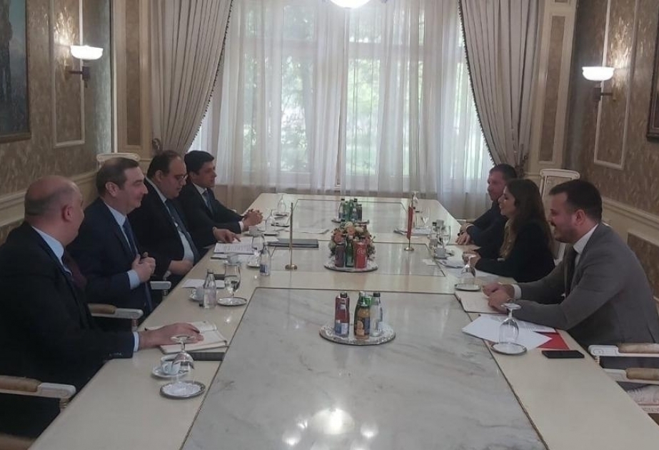 Se celebraron consultas consulares entre los Ministerios de Asuntos Exteriores de Azerbaiyán y Montenegro