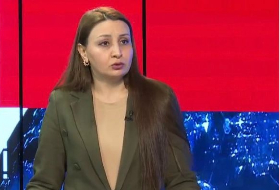 Qərb ölkələrinin Qafqazda sülhü pozmaq cəhdləri ən yaxşı ssenaridə belə məhz İrəvan üçün heç nəyi dəyişən deyil –  ŞƏRH